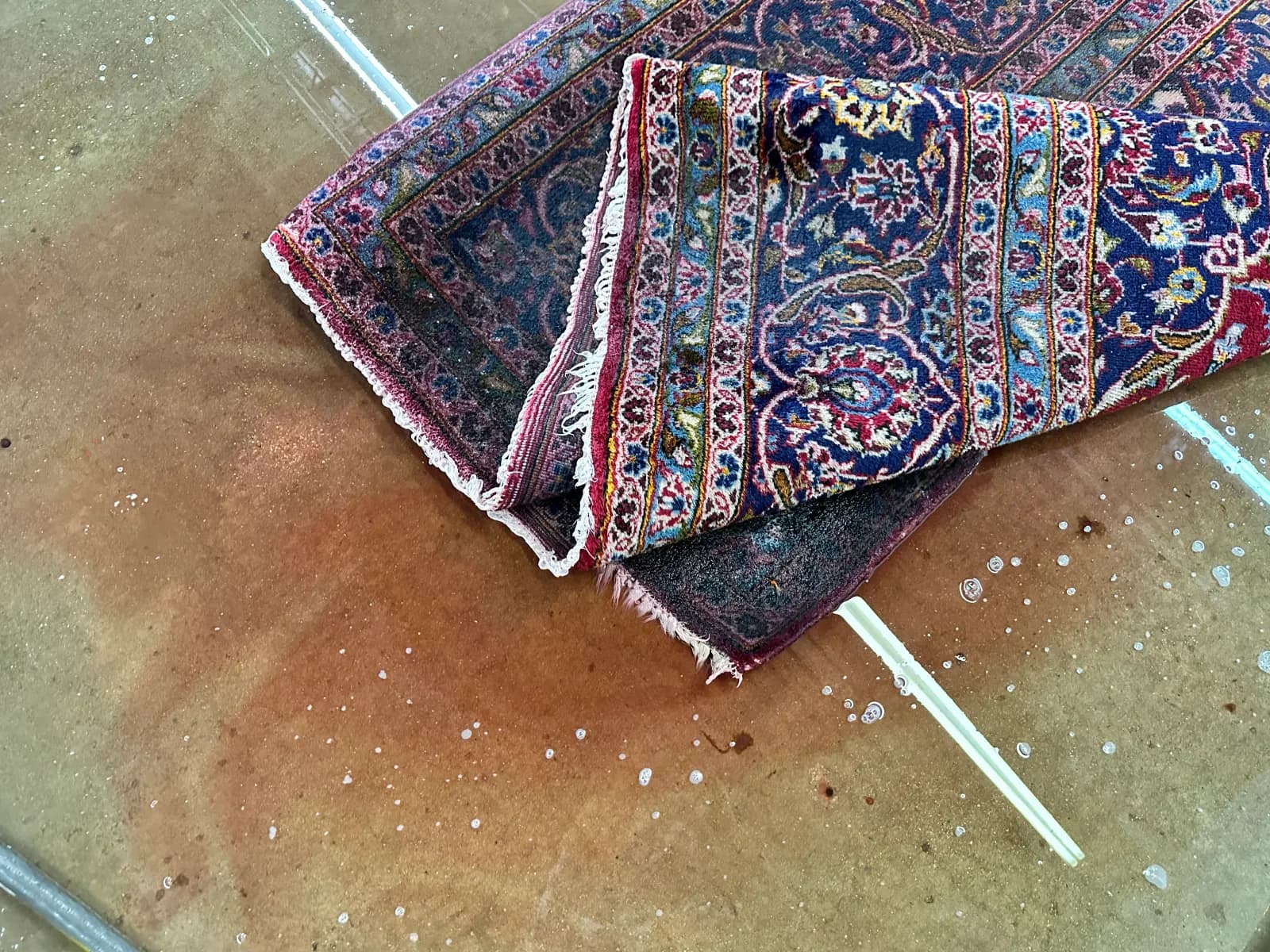 Drawing migrated red dye back out of an ivory ground during color-run correction — Ahmadi Rug, Chicago
