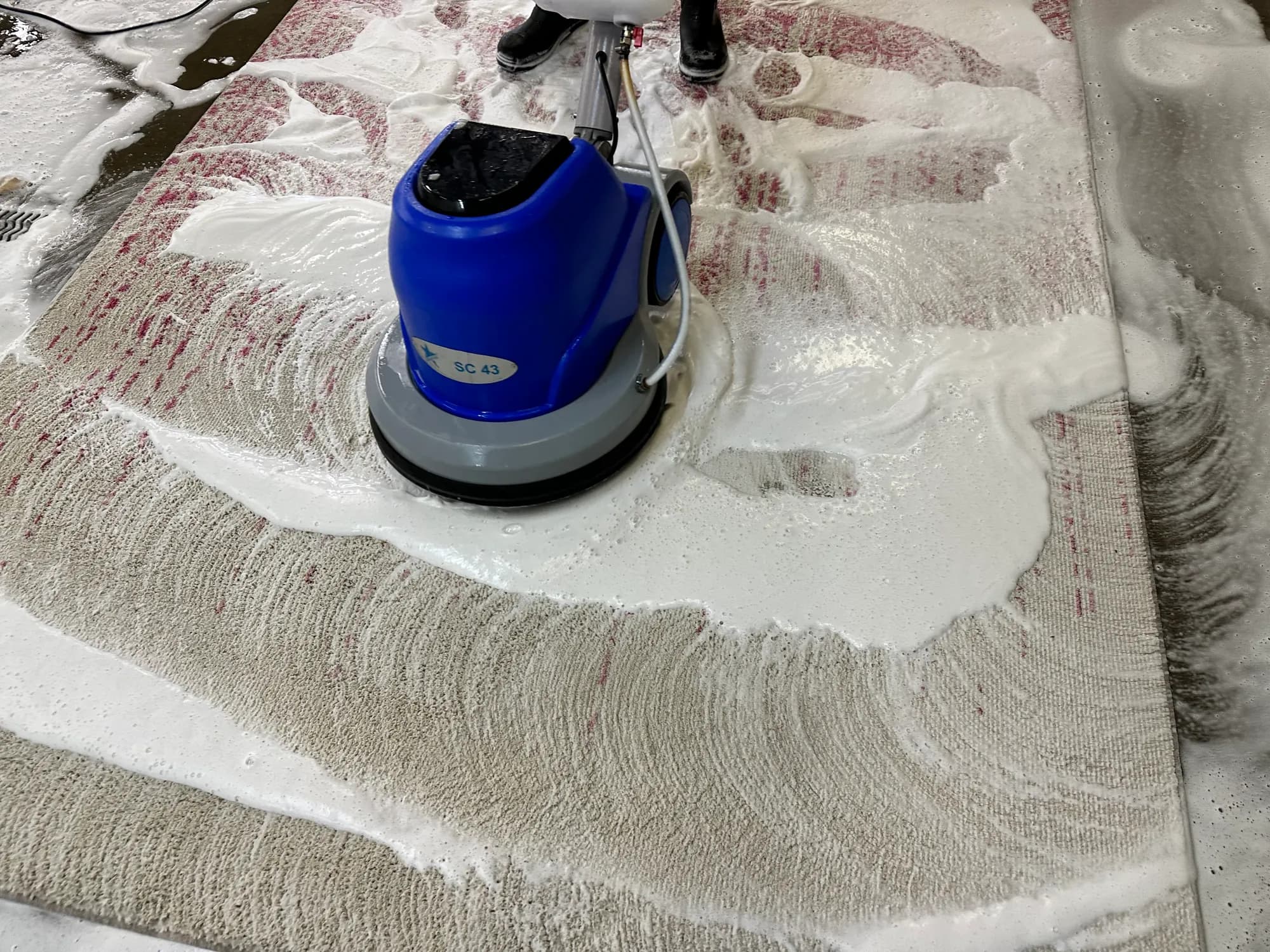 Full-immersion wash flushing pet-urine contamination from a rug's foundation — Ahmadi Rug, Chicago