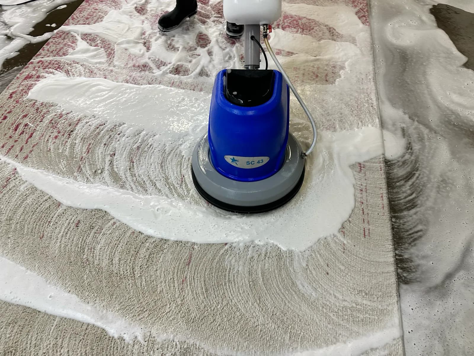 Hand washing a wool rug with suds at the Ahmadi Rug workshop in Skokie, Illinois
