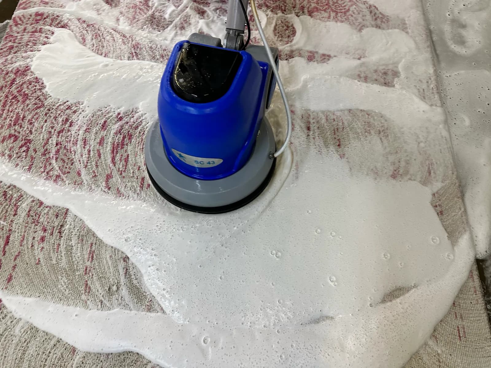 Suds worked through the pile during cold-water hand washing — Ahmadi Rug, Chicago