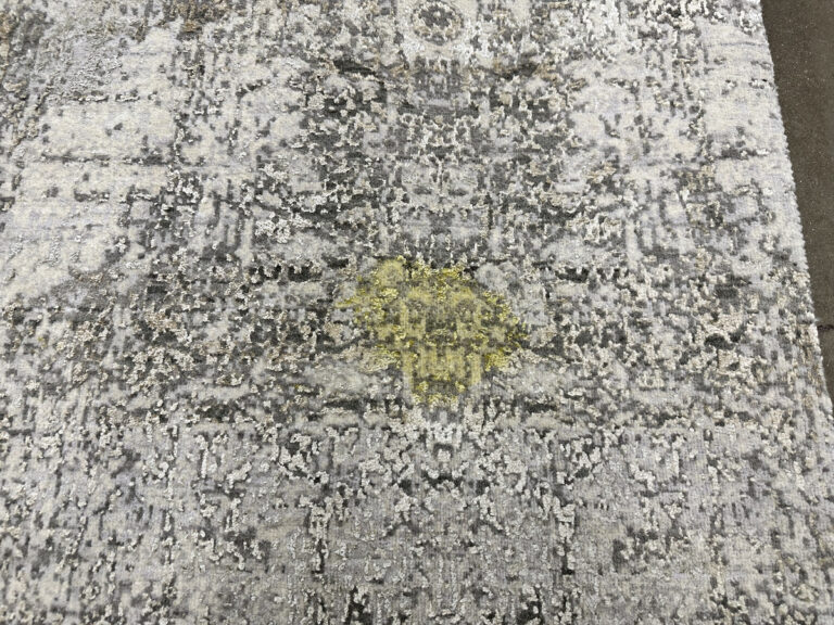 Common Rug Stains and What to do