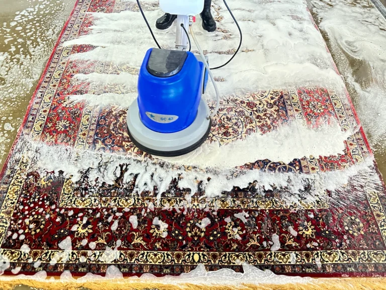 Professional Rug Cleaning