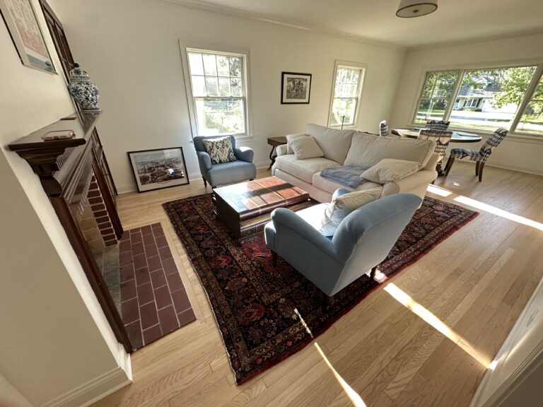 Rugs for Living Rooms