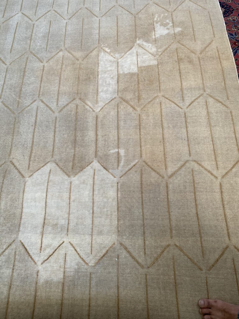 water-damaged-oriental-rugs