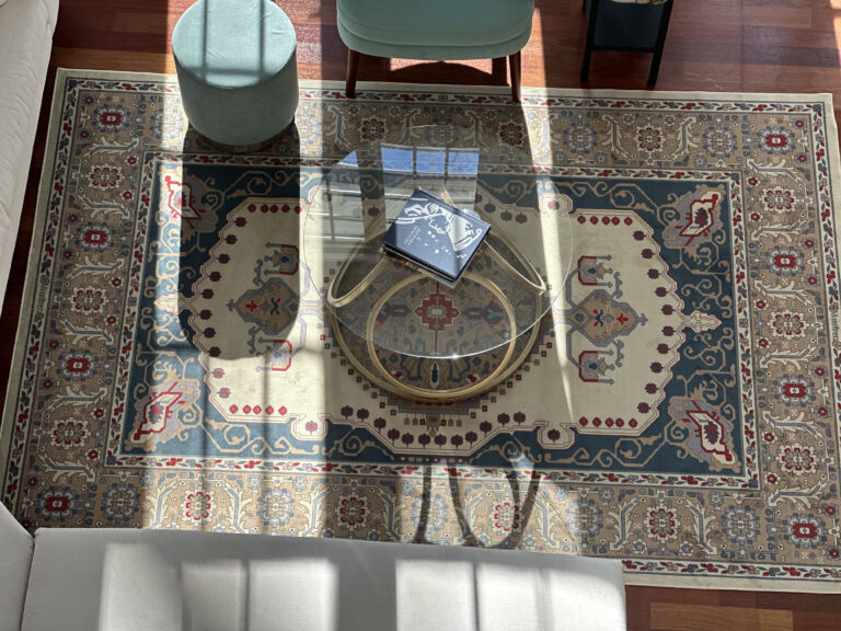 dining room rug
